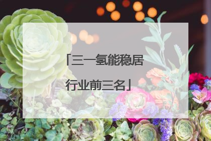 三一氢能稳居行业前三名
