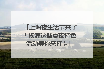 上海夜生活节来了！杨浦这些夏夜特色活动等你来打卡