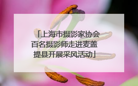 上海市摄影家协会百名摄影师走进麦盖提县开展采风活动