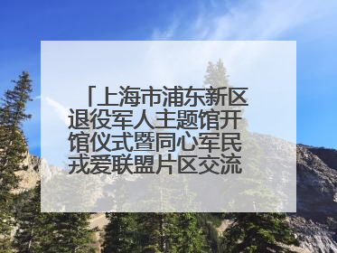 上海市浦东新区退役军人主题馆开馆仪式暨同心军民戎爱联盟片区交流会举行