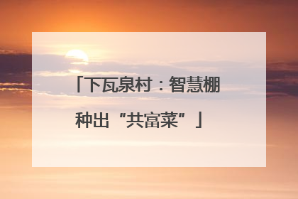 下瓦泉村：智慧棚种出“共富菜”
