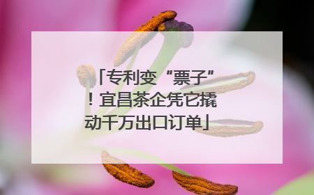专利变“票子”！宜昌茶企凭它撬动千万出口订单