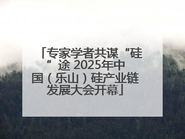 专家学者共谋“硅”途 2025年中国（乐山）硅产业链发展大会开幕