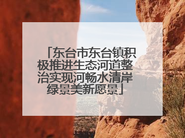 东台市东台镇积极推进生态河道整治实现河畅水清岸绿景美新愿景