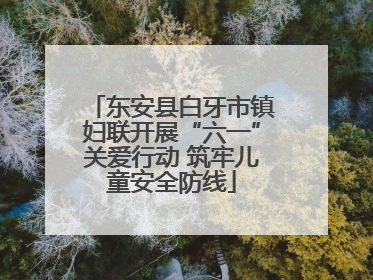 东安县白牙市镇妇联开展“六一”关爱行动 筑牢儿童安全防线