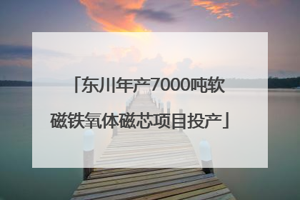东川年产7000吨软磁铁氧体磁芯项目投产