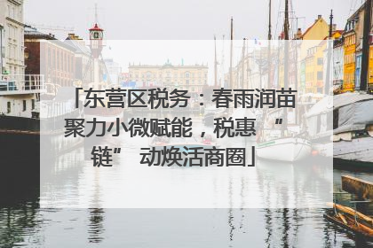 东营区税务：春雨润苗聚力小微赋能，税惠 “链” 动焕活商圈