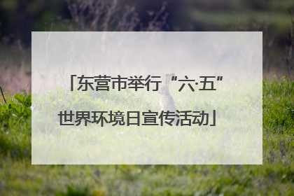 东营市举行“六·五”世界环境日宣传活动