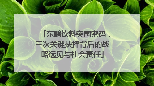 东鹏饮料突围密码：三次关键抉择背后的战略远见与社会责任