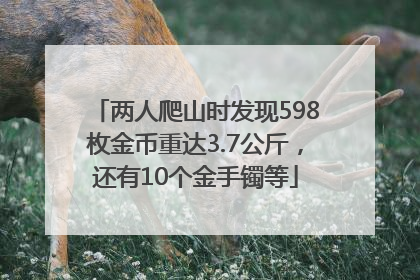 两人爬山时发现598枚金币重达3.7公斤，还有10个金手镯等