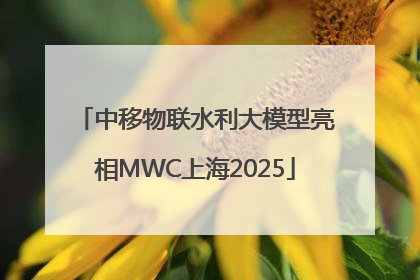 中移物联水利大模型亮相MWC上海2025