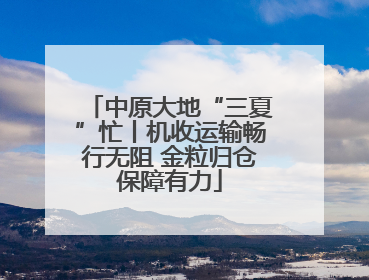 中原大地“三夏”忙丨机收运输畅行无阻 金粒归仓保障有力