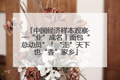 中国经济样本观察·一“业”成名丨面包“总动员”！“走”天下也“香”家乡