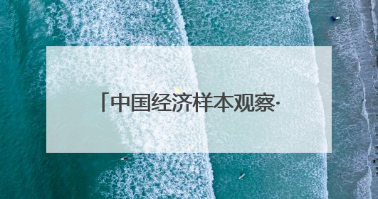 中国经济样本观察·一“业”成名｜真有两把刷子！“刷”出30亿级“颜值经济”
