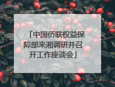 中国侨联权益保障部来湘调研并召开工作座谈会
