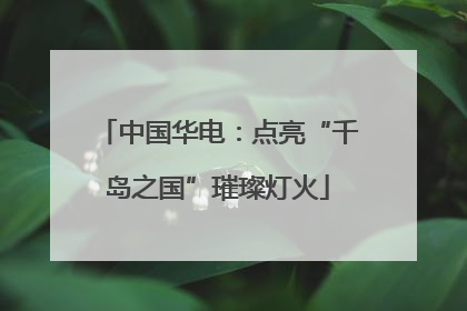 中国华电：点亮“千岛之国”璀璨灯火