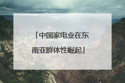 中国家电业在东南亚群体性崛起