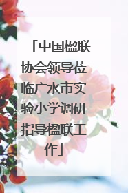 中国楹联协会领导莅临广水市实验小学调研指导楹联工作