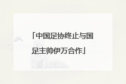 中国足协终止与国足主帅伊万合作