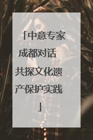 中意专家成都对话 共探文化遗产保护实践