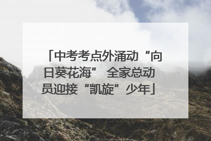 中考考点外涌动“向日葵花海” 全家总动员迎接“凯旋”少年