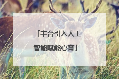 丰台引入人工智能赋能心育