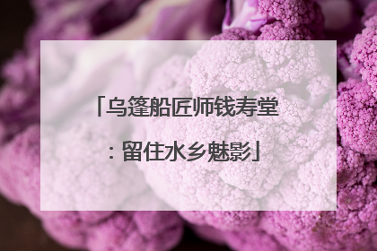 乌篷船匠师钱寿堂：留住水乡魅影