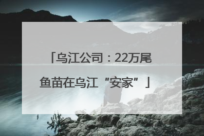 乌江公司：22万尾鱼苗在乌江“安家”