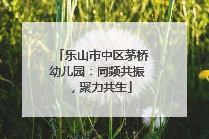 乐山市中区茅桥幼儿园：同频共振，聚力共生