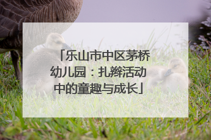乐山市中区茅桥幼儿园：扎辫活动中的童趣与成长
