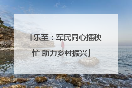 乐至：军民同心插秧忙 助力乡村振兴