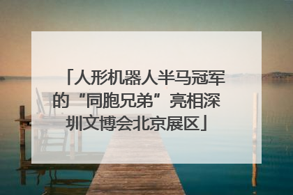 人形机器人半马冠军的“同胞兄弟”亮相深圳文博会北京展区