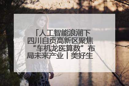 人工智能浪潮下 四川自贡高新区聚焦“车机龙医算数”布局未来产业丨美好生活有“盐”味
