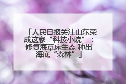 人民日报关注山东荣成这家“科技小院”：修复海草床生态 种出海底“森林”