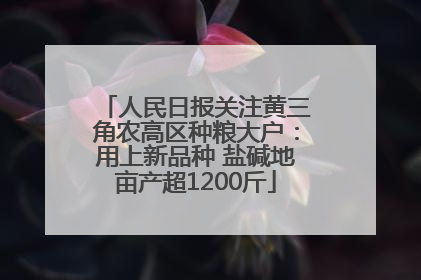 人民日报关注黄三角农高区种粮大户：用上新品种 盐碱地亩产超1200斤