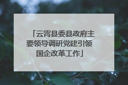 云霄县委县政府主要领导调研党建引领国企改革工作