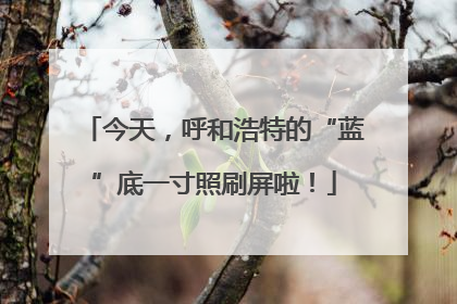 今天，呼和浩特的“蓝”底一寸照刷屏啦！