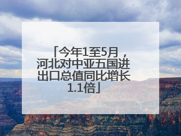 今年1至5月，河北对中亚五国进出口总值同比增长1.1倍