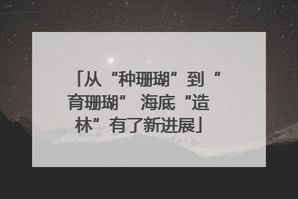 从“种珊瑚”到“育珊瑚” 海底“造林”有了新进展