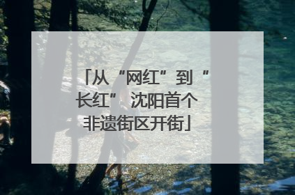 从“网红”到“长红” 沈阳首个非遗街区开街