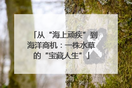 从“海上顽疾”到海洋商机：一株水草的“宝藏人生”