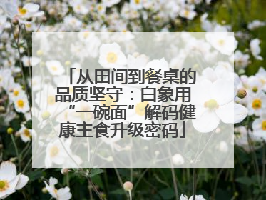 从田间到餐桌的品质坚守：白象用“一碗面”解码健康主食升级密码