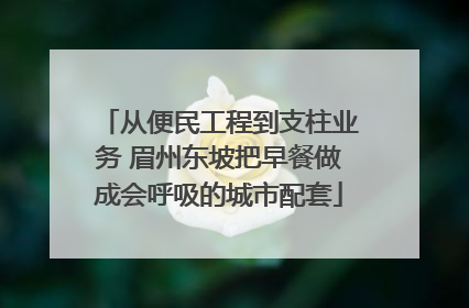 从便民工程到支柱业务 眉州东坡把早餐做成会呼吸的城市配套