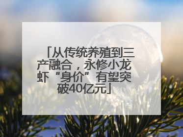 从传统养殖到三产融合，永修小龙虾“身价”有望突破40亿元