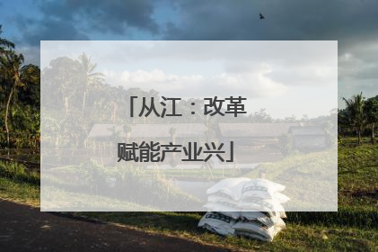 从江：改革赋能产业兴