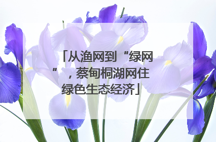 从渔网到“绿网”，蔡甸桐湖网住绿色生态经济