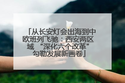 从长安灯会出海到中欧班列飞驰：西安两区域 “深化六个改革” 勾勒发展新画卷