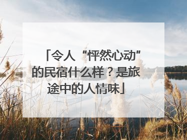 令人“怦然心动”的民宿什么样？是旅途中的人情味