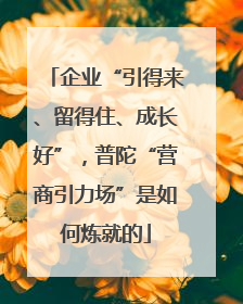 企业“引得来、留得住、成长好”，普陀“营商引力场”是如何炼就的