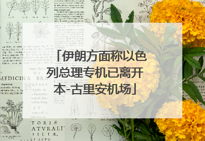 伊朗方面称以色列总理专机已离开本-古里安机场